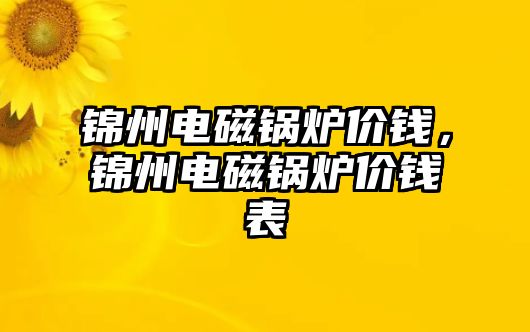 錦州電磁鍋爐價錢，錦州電磁鍋爐價錢表