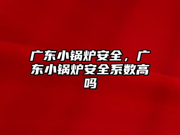 廣東小鍋爐安全，廣東小鍋爐安全系數(shù)高嗎