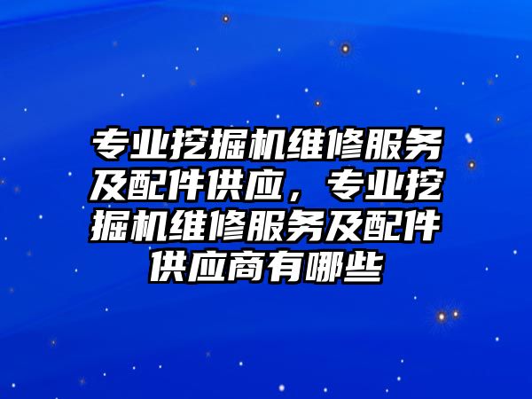 專業挖掘機維修服務及配件供應，專業挖掘機維修服務及配件供應商有哪些