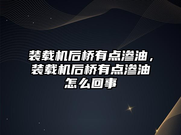 裝載機后橋有點滲油，裝載機后橋有點滲油怎么回事