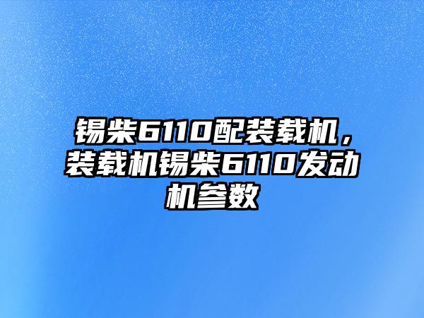 錫柴6110配裝載機，裝載機錫柴6110發動機參數