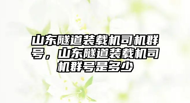 山東隧道裝載機司機群號，山東隧道裝載機司機群號是多少