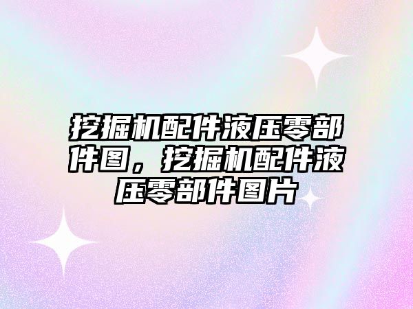 挖掘機配件液壓零部件圖，挖掘機配件液壓零部件圖片