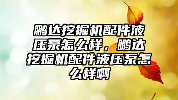 鵬達挖掘機配件液壓泵怎么樣，鵬達挖掘機配件液壓泵怎么樣啊