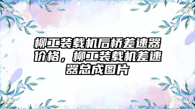 柳工裝載機后橋差速器價格，柳工裝載機差速器總成圖片