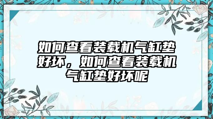 如何查看裝載機氣缸墊好壞，如何查看裝載機氣缸墊好壞呢