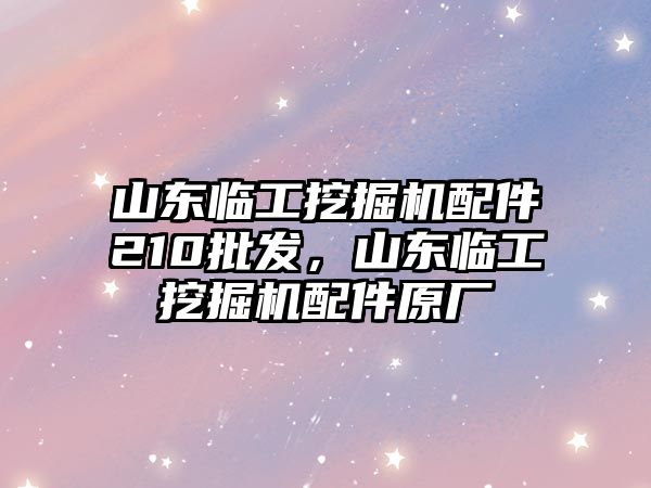 山東臨工挖掘機(jī)配件210批發(fā)，山東臨工挖掘機(jī)配件原廠