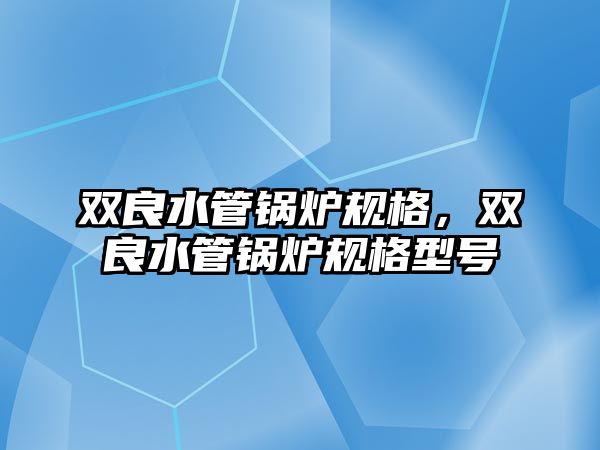 雙良水管鍋爐規格，雙良水管鍋爐規格型號