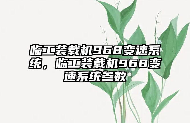 臨工裝載機968變速系統，臨工裝載機968變速系統參數