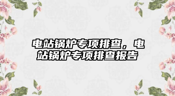 電站鍋爐專項排查，電站鍋爐專項排查報告