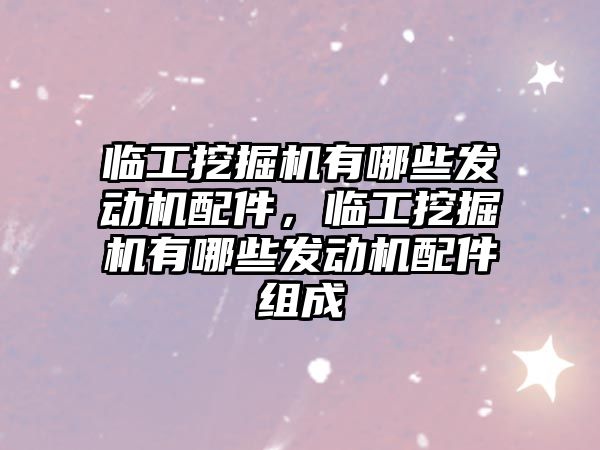 臨工挖掘機有哪些發動機配件，臨工挖掘機有哪些發動機配件組成