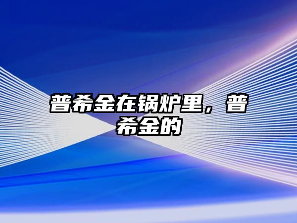 普希金在鍋爐里，普希金的