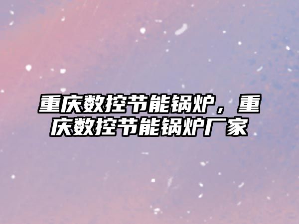 重慶數控節能鍋爐，重慶數控節能鍋爐廠家