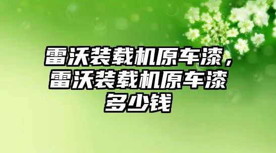 雷沃裝載機原車漆，雷沃裝載機原車漆多少錢