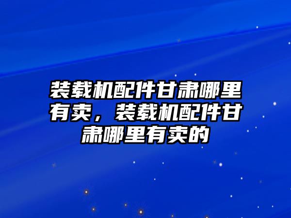 裝載機配件甘肅哪里有賣，裝載機配件甘肅哪里有賣的