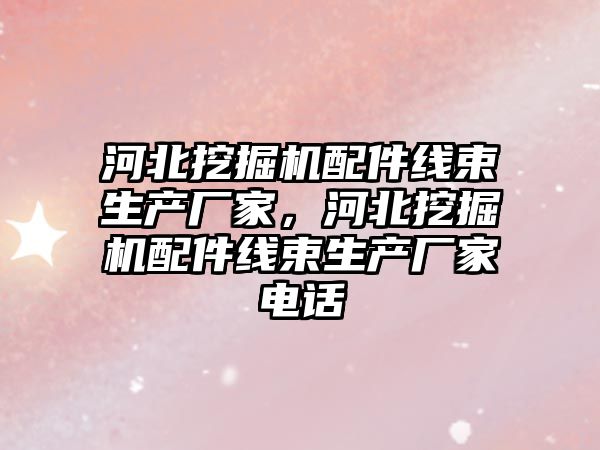 河北挖掘機配件線束生產廠家，河北挖掘機配件線束生產廠家電話