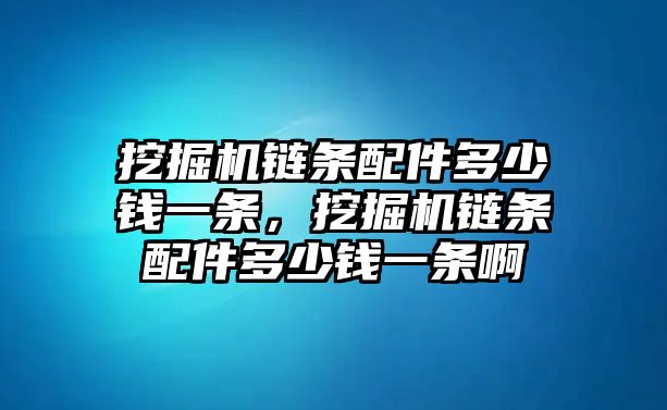 挖掘機鏈條配件多少錢一條，挖掘機鏈條配件多少錢一條啊