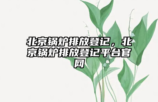 北京鍋爐排放登記，北京鍋爐排放登記平臺官網