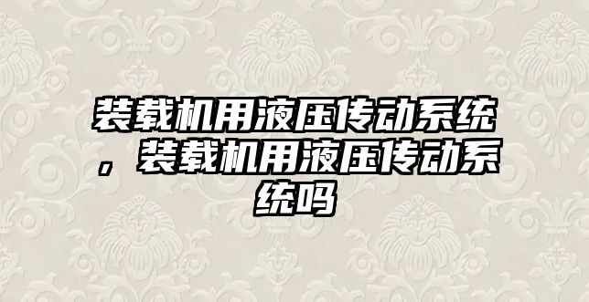 裝載機用液壓傳動系統，裝載機用液壓傳動系統嗎