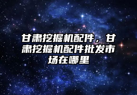 甘肅挖掘機配件，甘肅挖掘機配件批發市場在哪里