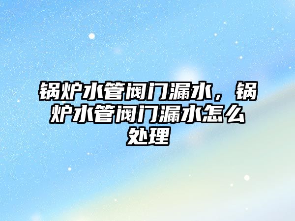 鍋爐水管閥門漏水，鍋爐水管閥門漏水怎么處理