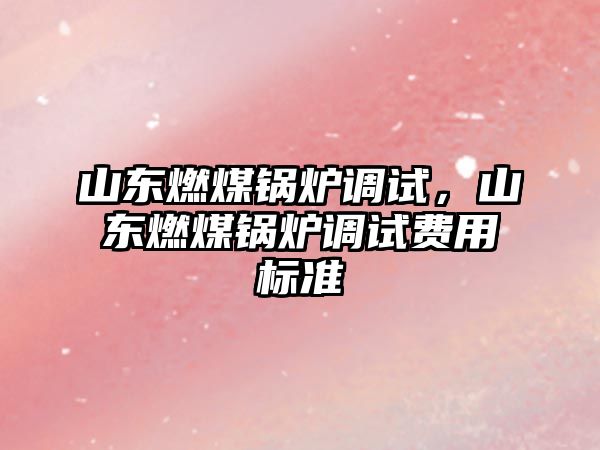 山東燃煤鍋爐調試，山東燃煤鍋爐調試費用標準