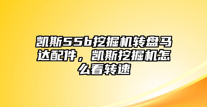 凱斯55b挖掘機轉盤馬達配件，凱斯挖掘機怎么看轉速