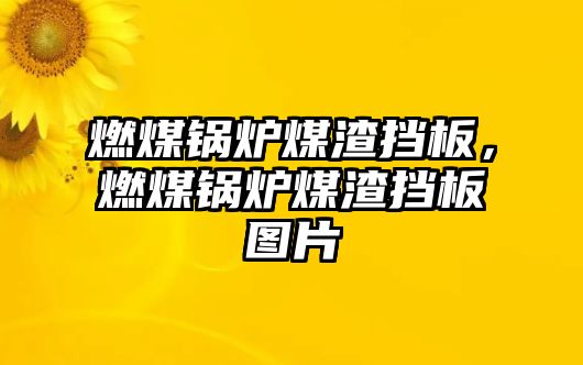 燃煤鍋爐煤渣擋板，燃煤鍋爐煤渣擋板圖片