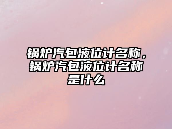 鍋爐汽包液位計名稱，鍋爐汽包液位計名稱是什么