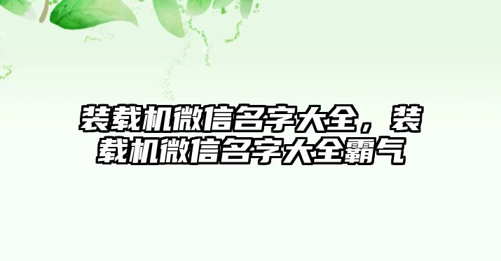 裝載機微信名字大全，裝載機微信名字大全霸氣