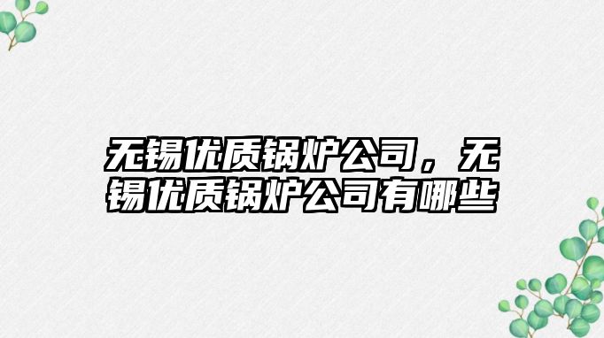 無錫優質鍋爐公司，無錫優質鍋爐公司有哪些