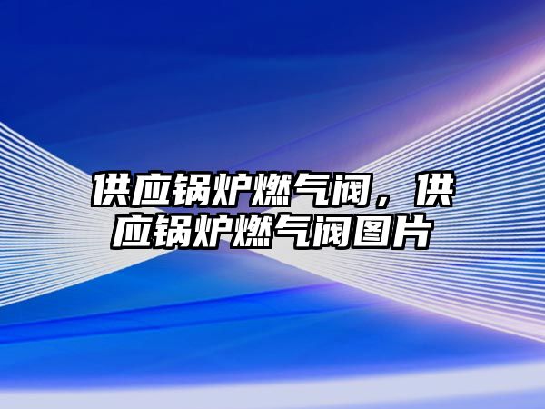 供應(yīng)鍋爐燃氣閥，供應(yīng)鍋爐燃氣閥圖片