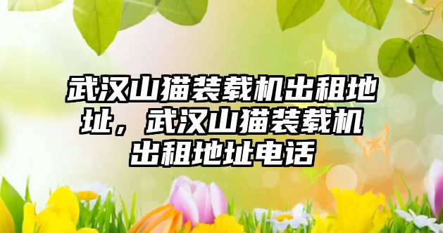 武漢山貓裝載機(jī)出租地址，武漢山貓裝載機(jī)出租地址電話(huà)