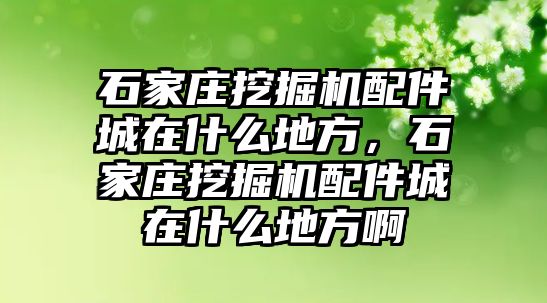 石家莊挖掘機配件城在什么地方，石家莊挖掘機配件城在什么地方啊