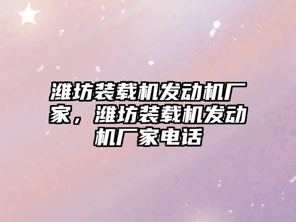 濰坊裝載機發動機廠家，濰坊裝載機發動機廠家電話