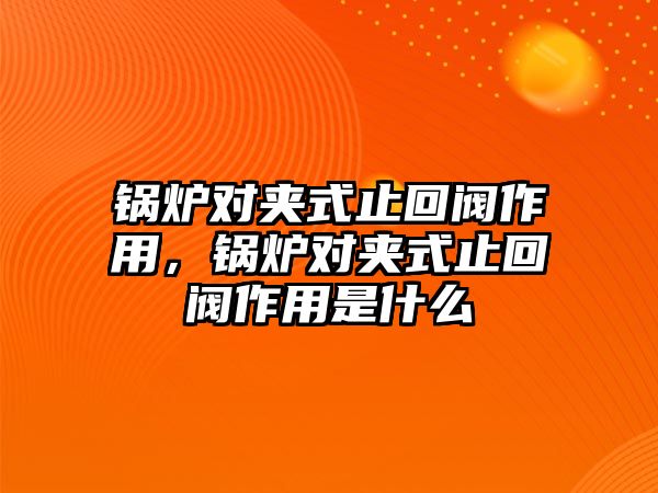 鍋爐對夾式止回閥作用，鍋爐對夾式止回閥作用是什么