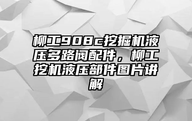 柳工908c挖掘機液壓多路閥配件，柳工挖機液壓部件圖片講解