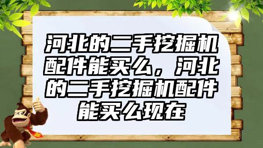 河北的二手挖掘機配件能買么，河北的二手挖掘機配件能買么現在