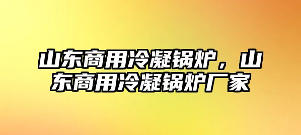 山東商用冷凝鍋爐，山東商用冷凝鍋爐廠家