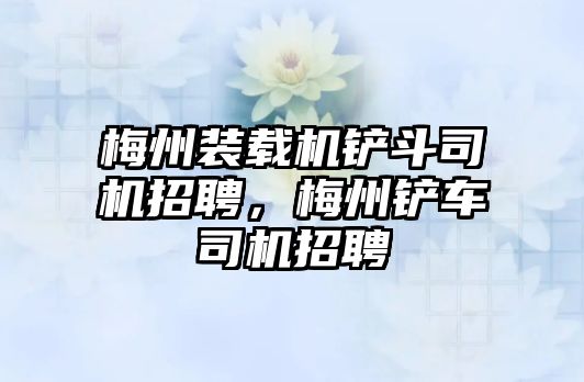 梅州裝載機鏟斗司機招聘，梅州鏟車司機招聘