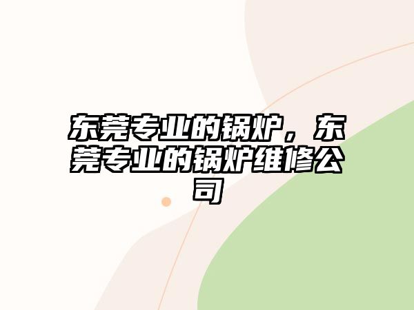 東莞專業的鍋爐，東莞專業的鍋爐維修公司