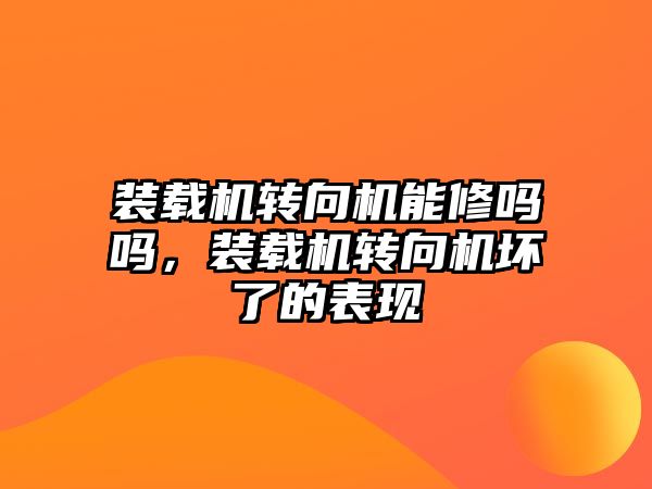 裝載機轉向機能修嗎嗎，裝載機轉向機壞了的表現