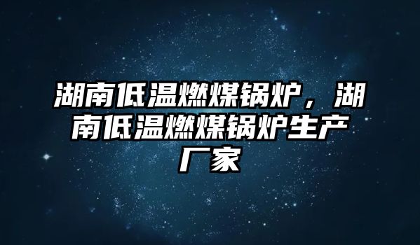 湖南低溫燃煤鍋爐，湖南低溫燃煤鍋爐生產(chǎn)廠家