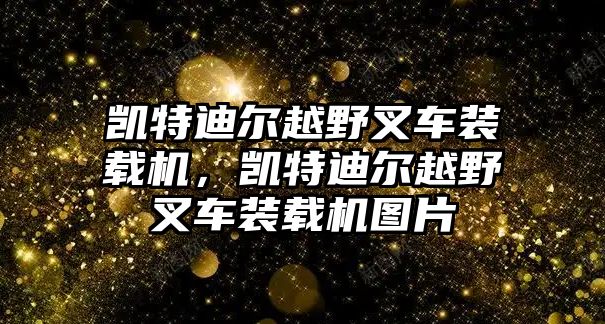 凱特迪爾越野叉車裝載機，凱特迪爾越野叉車裝載機圖片